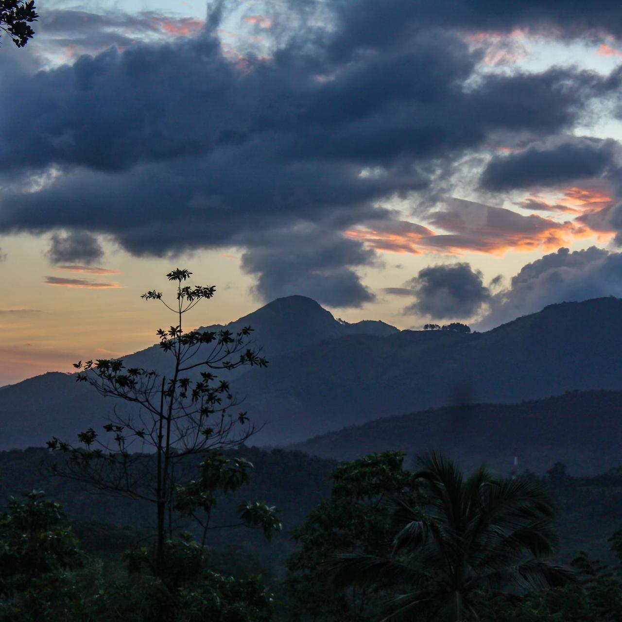 Paradise Forest Garden Matale Exterior foto